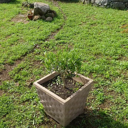 Vakantieboerderij Nuragh'elighe Sindia