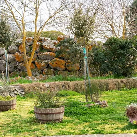 Agriturismo Nuragh'elighe * Sindia