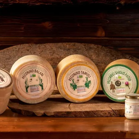 Agriturismo Nuragh'elighe Фермерский дом Sindia