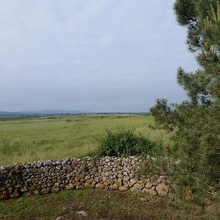 Фермерский дом Agriturismo Nuragh'elighe