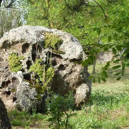 Agriturismo Nuragh'elighe Фермерский дом *