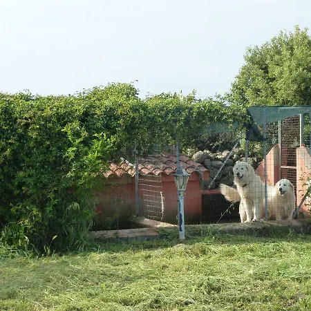 Agriturismo Nuragh'elighe Фермерский дом