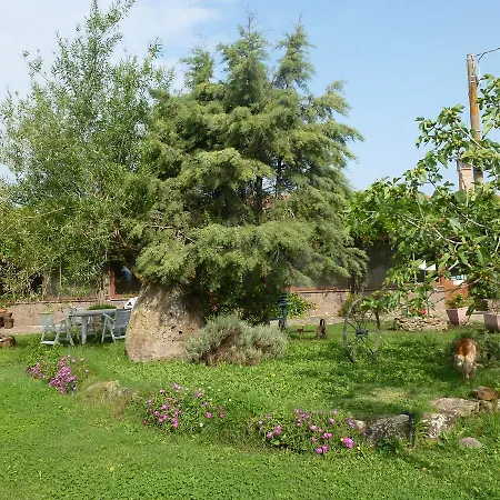 Agriturismo Nuragh'elighe *