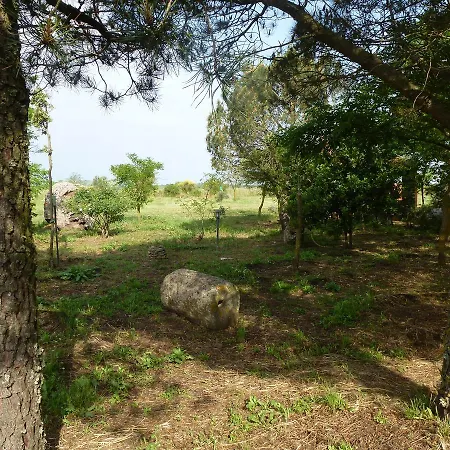 Agriturismo Nuragh'elighe * Sindia