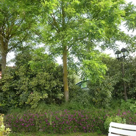 Agriturismo Nuragh'elighe Sindia