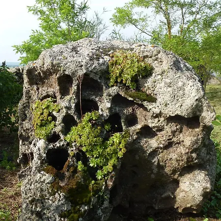 Agriturismo Nuragh'elighe Фермерский дом Sindia