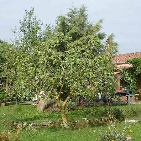 Agriturismo Nuragh'elighe Фермерский дом